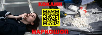 apvp Камышлов