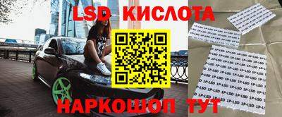спиды Кингисепп