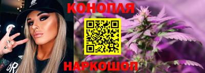 apvp Камышлов