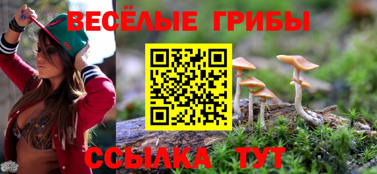 Галлюциногенные грибы Psilocybe Копейск