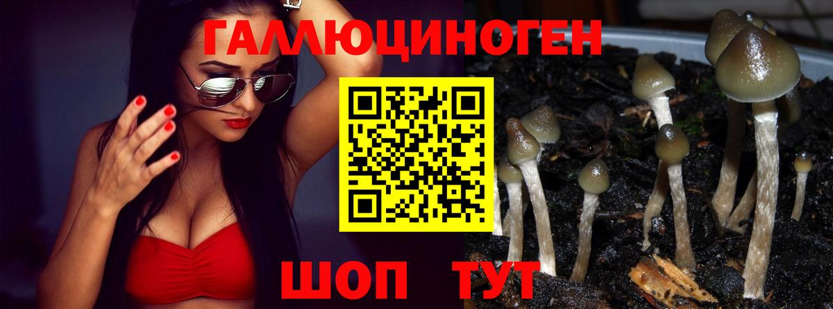 цены   Вход с VPN  Копейск  Галлюциногенные грибы мухоморы 